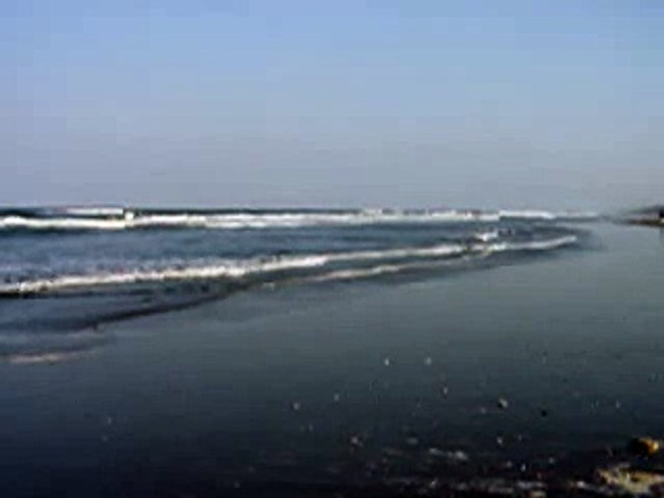 大竹海岸(2009.4.29)その４