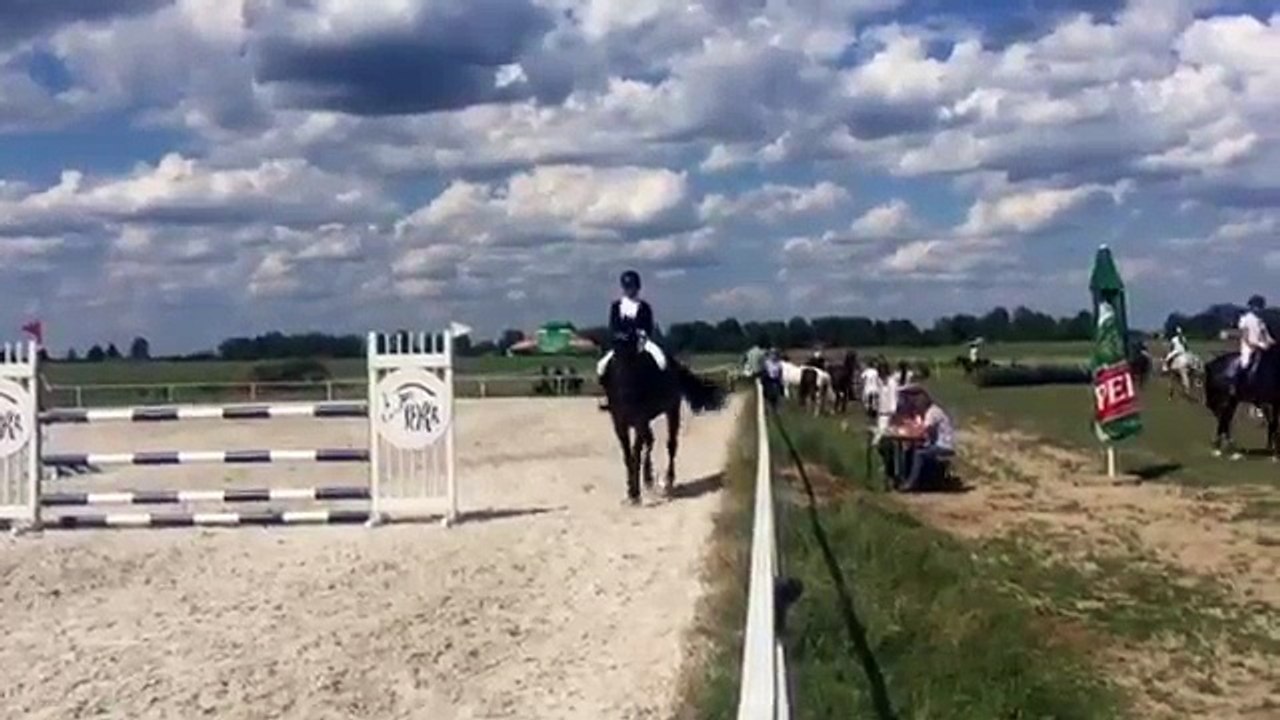 Nicole Stefańska, Papillon 142 - I półfinał EOOM duże konie