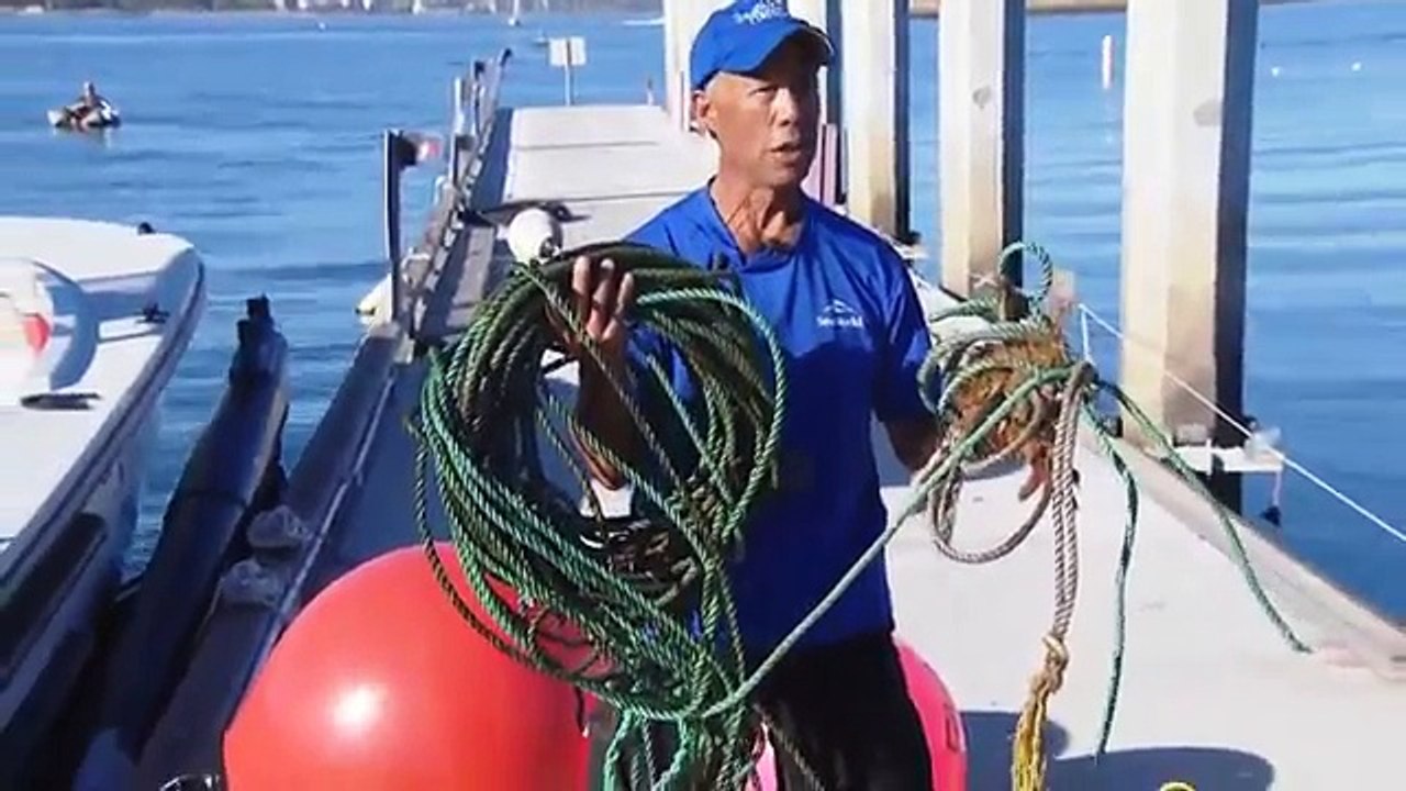 Giant whale cut free from fishing line in California