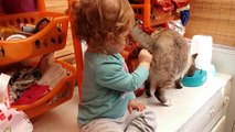 Cet enfant nourrit un chat !