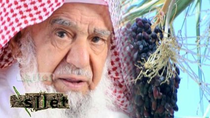 Orang Terkaya di Dunia, Sulaiman Al Rajhi Mewakafkan Buah Kurma Selama Ramadan - Silet 21 Juni 2016