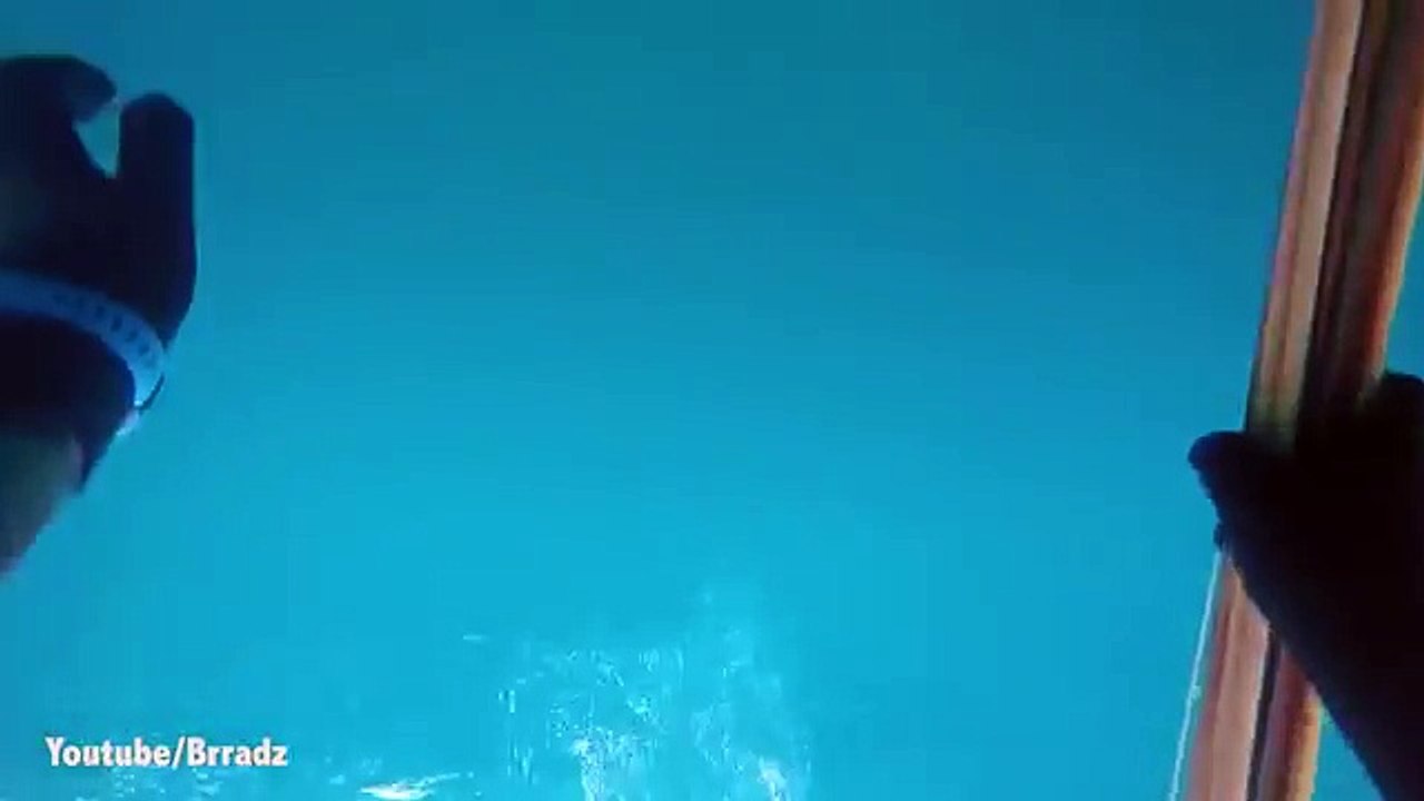 Impossible de réagir quand on est attaqué par un requin: la preuve