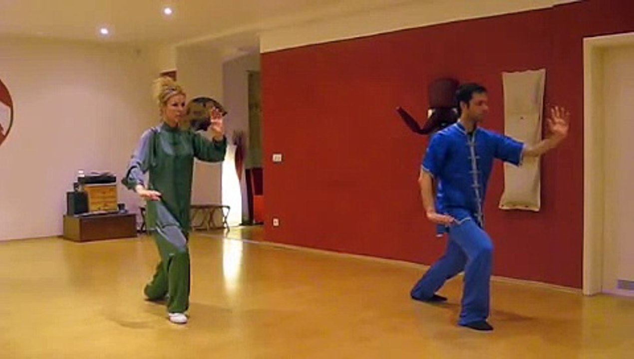 Taiji Quan Peking Form/24 shi taiji quan