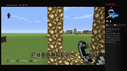 Les défis minecrafts #1 (6)
