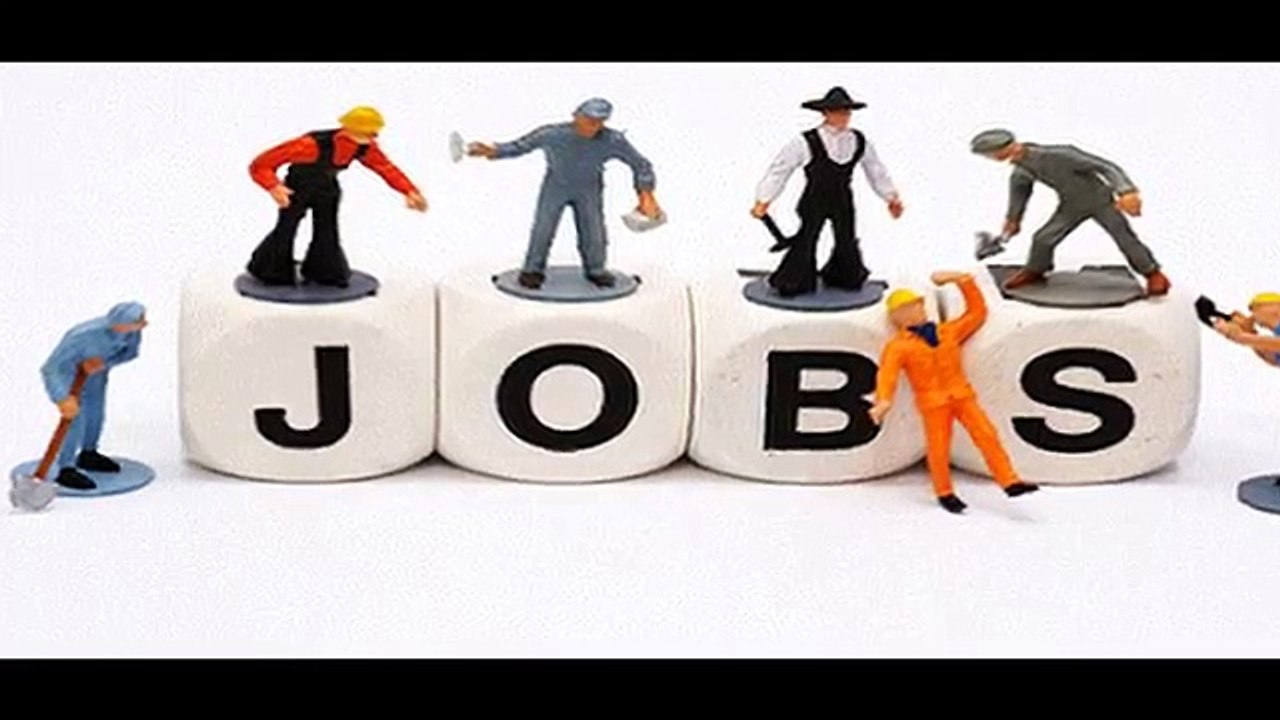 Top Job Consultants in Delhi, Noida and NCR