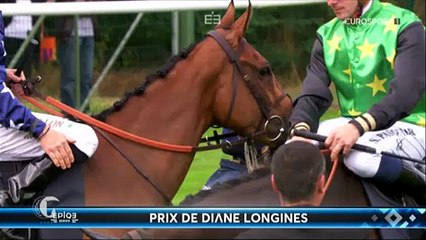 Horse Excellence: Diane (Horse Racing)