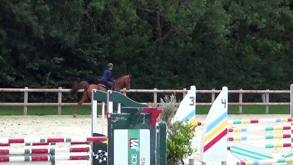 Taurus de Melly Hunter 19 juin 2016