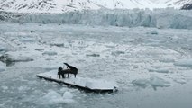 Un récital de piano sur la banquise pour sauver l'Arctique - Le 21/06/2016 à 12h00