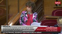 Le sénat poursuit l'examen de la loi travail - Les matins du Sénat (21/06/2016)