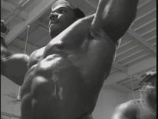 Flex Wheeler - HardBody