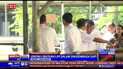 Jokowi Libatkan LIPI Swasembada Daging Sapi
