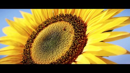 Mass Effect 3 - Trailer Cinématique