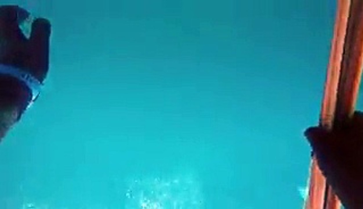 Un pêcheur australien attaqué par un requin