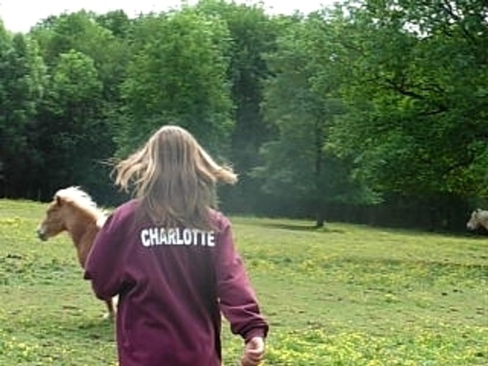 Mos journée à montec