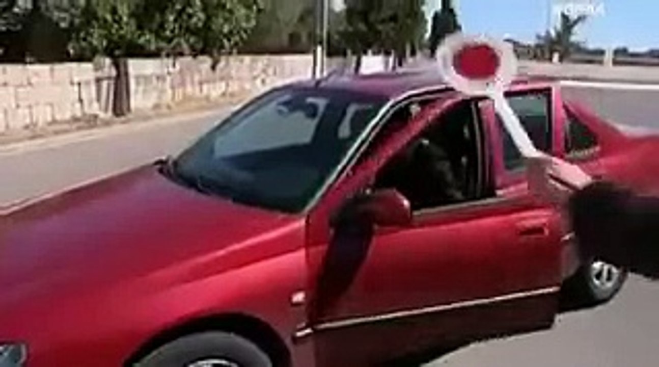 Video Divertente