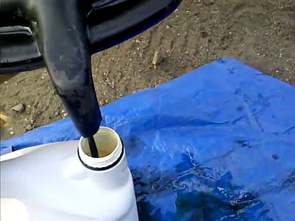 oct 28 blackberry 003