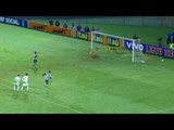 Brasileirão 2016 - Botafogo 3 x 1 América-MG