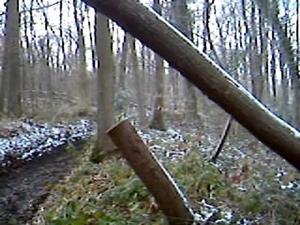 Moi quad
