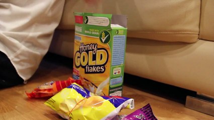 Asian Financial Crisis (economics project by Orm Pang Tonhom muids03 1009)