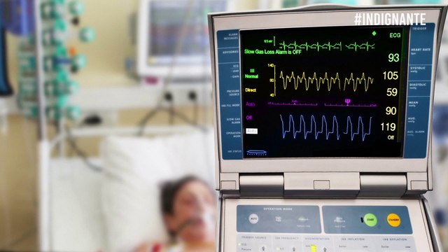 Indignante: Canadá legaliza las relaciones sexuales con animales