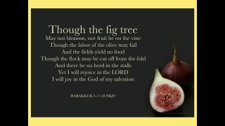 Worship Team 11.10.15 - Habakkuk 3:17-19