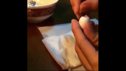 Bir Canlının Doğumdan Büyüyene Kadar Anı