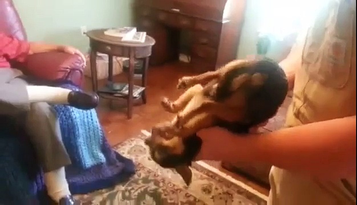 Главное вовремя притвориться мертвым