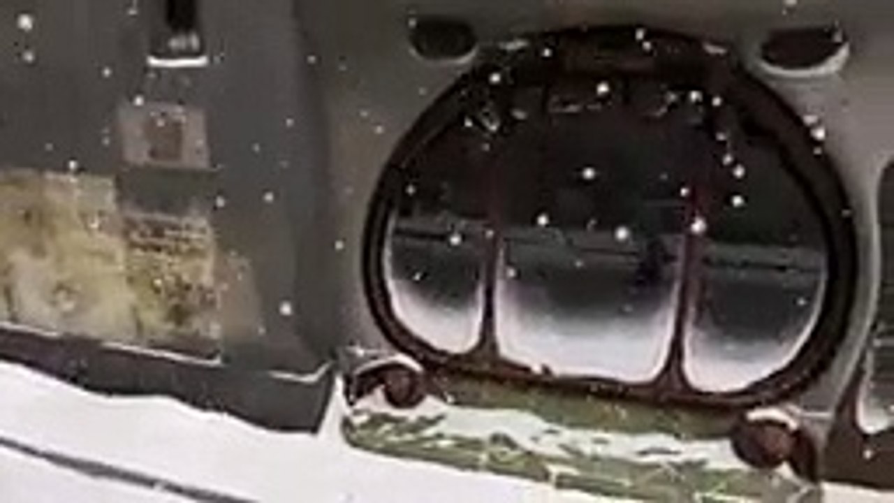 Alma Pixar court - Kirsebaer Animations Musique || Alma  Pixar short - Kirsebaer Animation Music