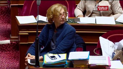 Jean-Noël Cardoux décrit l'état des rues de Paris