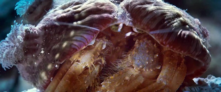 Oceans - Exploring Oceans