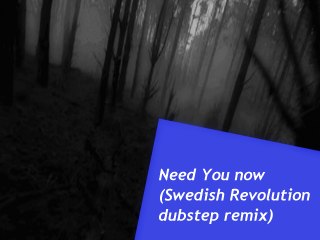 Need You now (Swedish Revolution dubstep remix)- Plumb