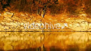 Sunset Over Lake 5 - Stock Footage | VideoHive 14647582