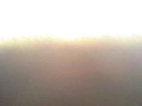 Pédro longues rênes