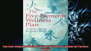 Free PDF Downlaod  The FiveElements Wellness Plan A Chinese System for Perfect Health  BOOK ONLINE