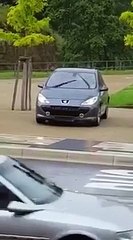 Une femme pense pouvoir descendre les escaliers avec sa voiture