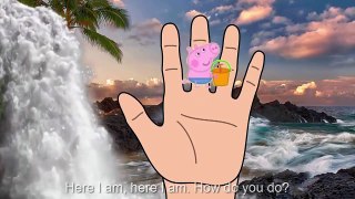 Peppa Pig Summer Holidays Finger Family Nursery Rhymes video snippet