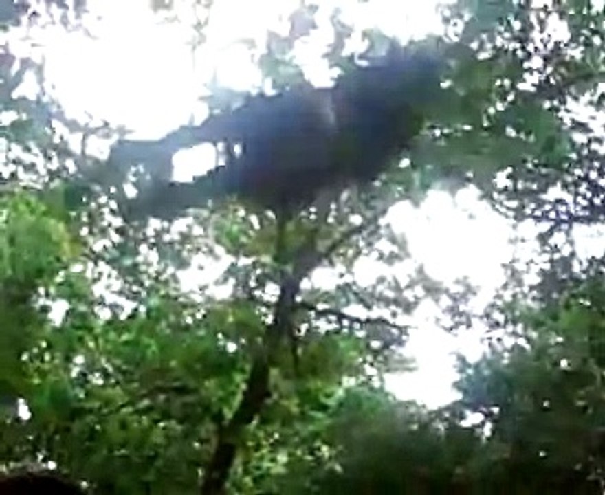 Pendule dans les Arbres 24-05-08