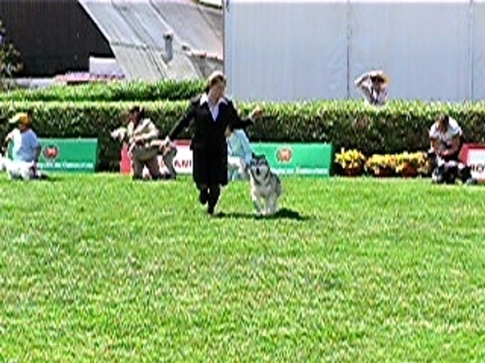 Tipee et Anais RG Lisboa 2007 - Junior handling