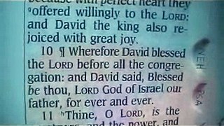 1 Chronicles 29 Holy Bible (King James)