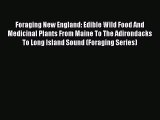 Download Foraging New England: Edible Wild Food And Medicinal Plants From Maine To The Adirondacks
