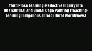 Read Third Place Learning: Reflective Inquiry into Intercultural and Global Cage Painting (Teaching-Learning