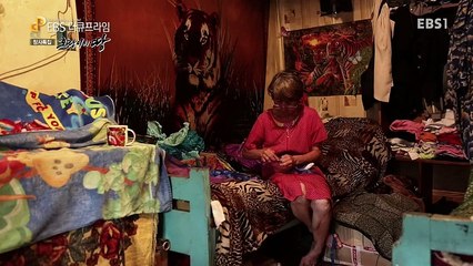docu prime