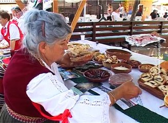 Hronika Boljevca, 21. jun 2016. (RTV Bor)