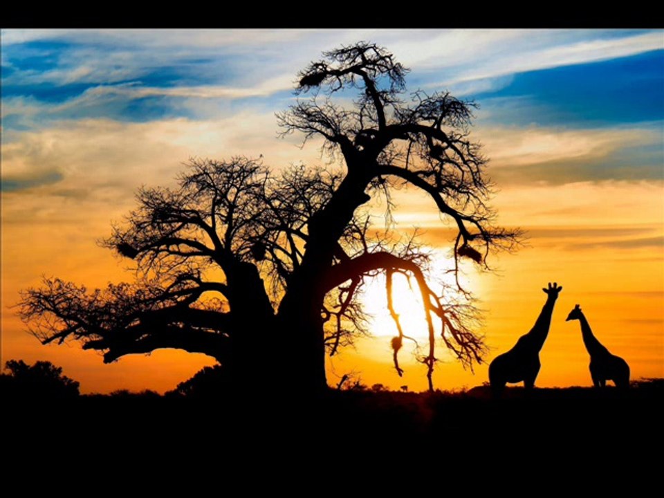 Nature Remix Ringing Ringtone