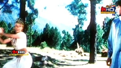 resham+momar rana-bahoon main teri