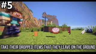 Top 5 Minecraf  Animations Songs of Best Minecraft Songs Compilations