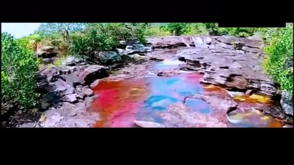 نسي ذكر دخول الخلاء~ البول والصلاة~ الشيخ صالح المنجد.