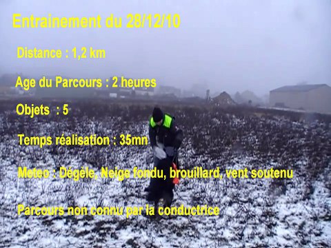 Recherche Utilitaire Entrainement Aiglon 28/12/10