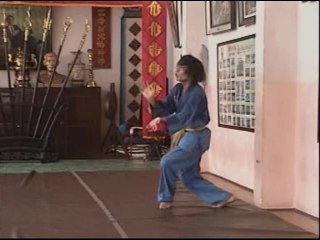 Vovinam: Ngũ Môn Quyền (5 portes) ⎪evovinam.com