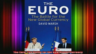 DOWNLOAD FREE Ebooks  The Euro The Battle for the New Global Currency Full Ebook Online Free